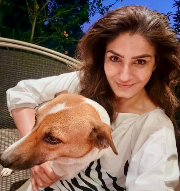 Ilustrasi adopsi zoya untuk artikel Raveena Tandon Adopsi Zoya, Anak Anjing dari Lokasi Syuting